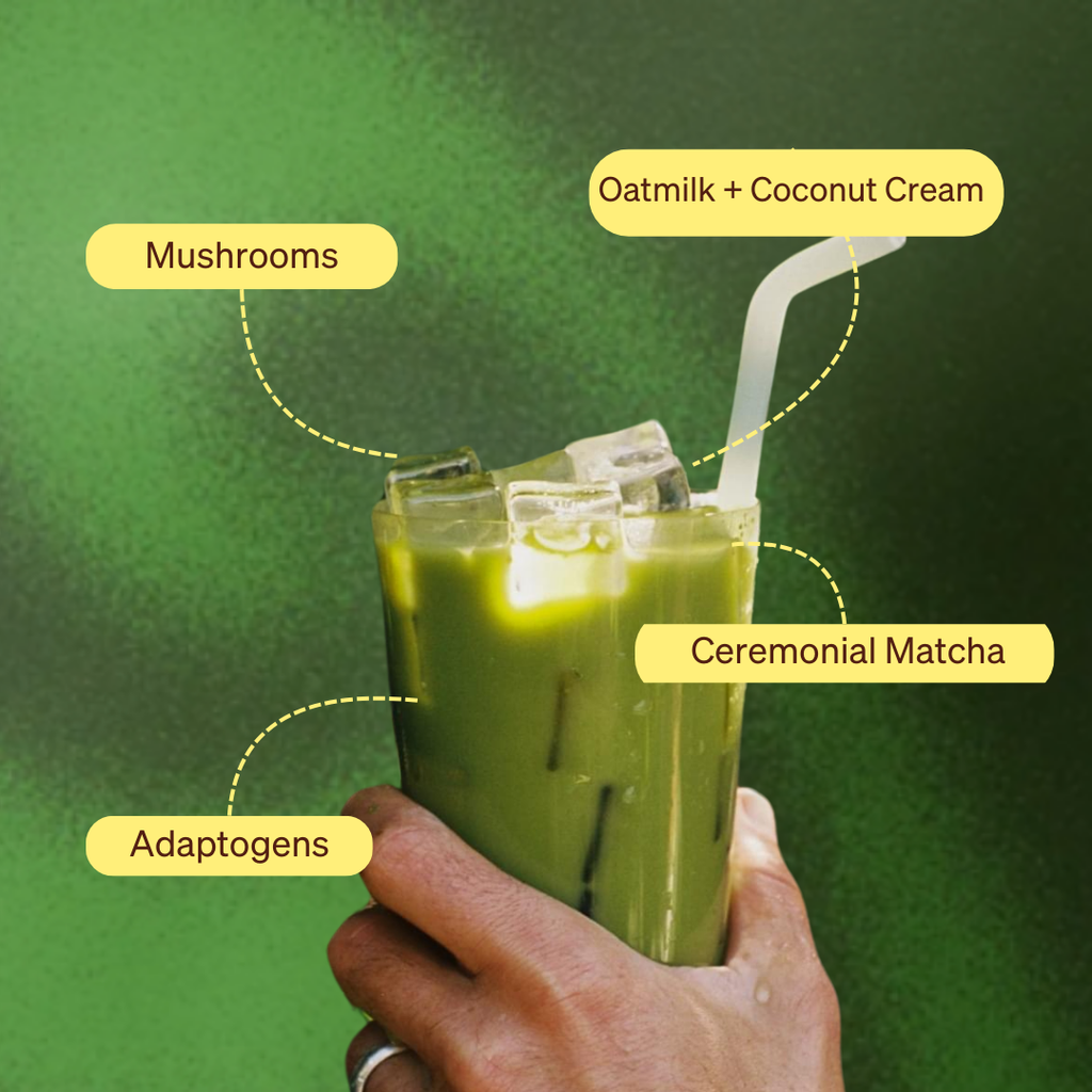 Matcha Starter Set - Fresh Travel Drink Pack